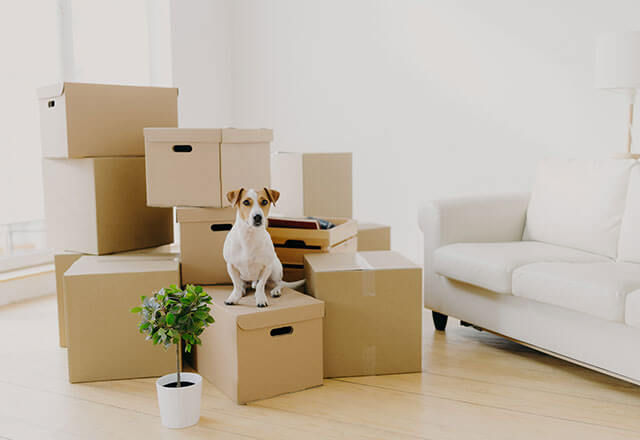 15 Dos and 5 Don'ts of Moving into Your First Apartment