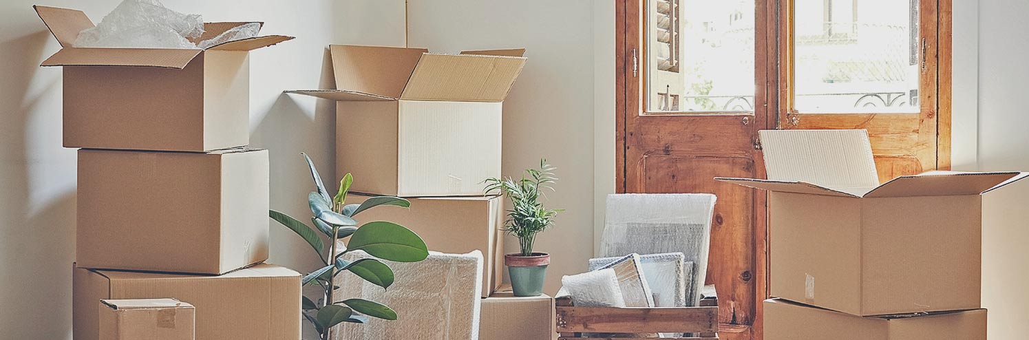 Best Moving Supplies on  :: Southern Savers